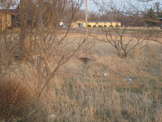  - photo 21 