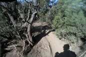Cucharas River Enduro Race 2009
 - photo 3 