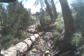 Cucharas River Enduro Race 2009
 - photo 69 