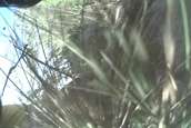 Cucharas River Enduro Race 2009
 - photo 90 