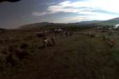  - photo 22 