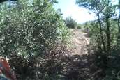  - photo 39 