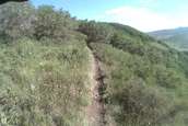  - photo 50 