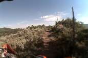  - photo 51 