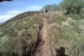  - photo 52 