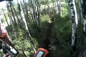  - photo 54 