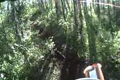  - photo 59 