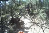 Inyan Kara National Enduro 2009
 - photo 38 