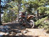 2009 KTM 450 XCW
 - photo 32 