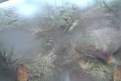 Pine Ridge Enduro 2009
 - photo 27 