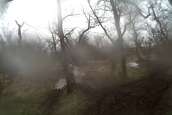 Pine Ridge Enduro 2009
 - photo 56 