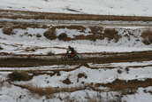 VDR Hare Scramble 17 JAN 2010
 - photo 55 